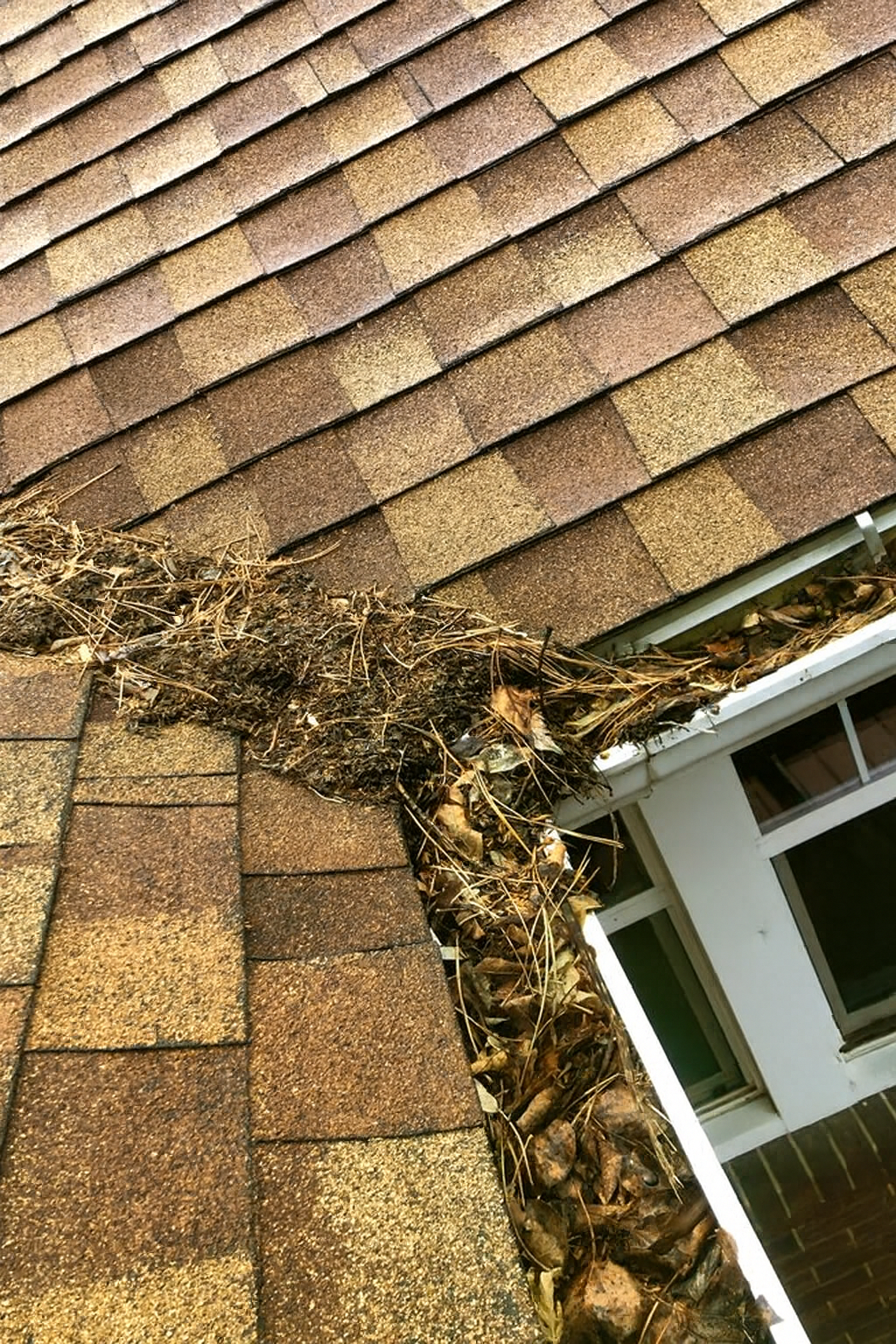 gutter cleaning service durham